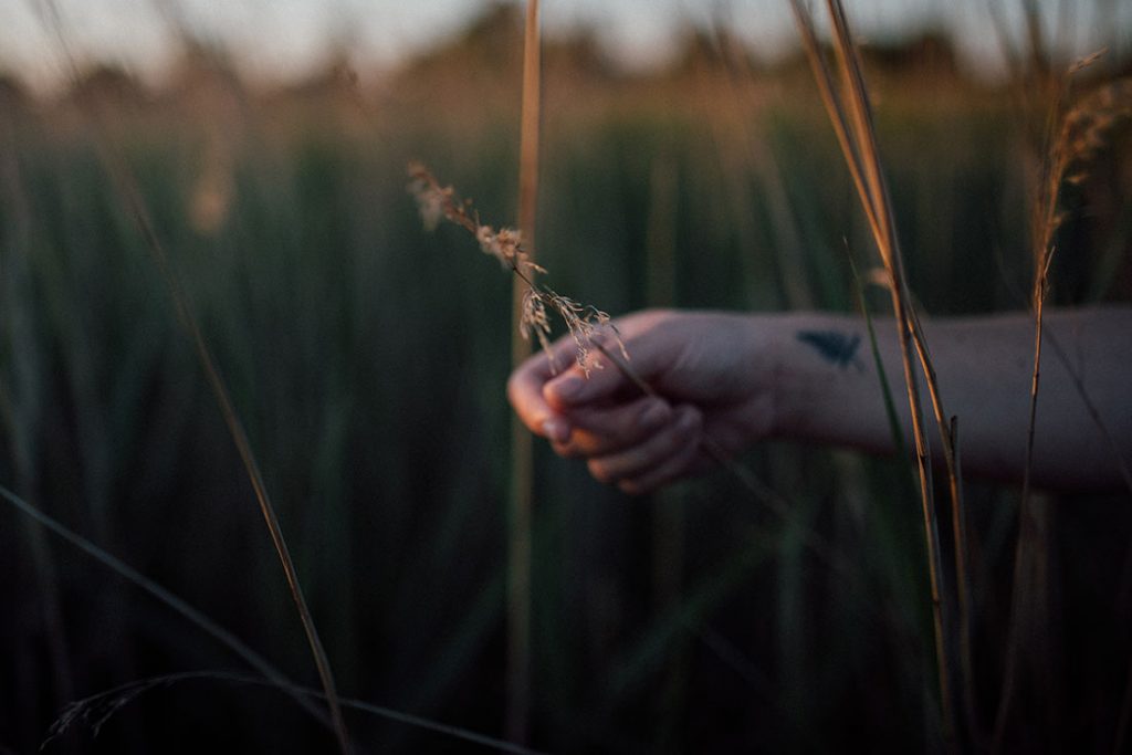 Zwangerschapsshoot